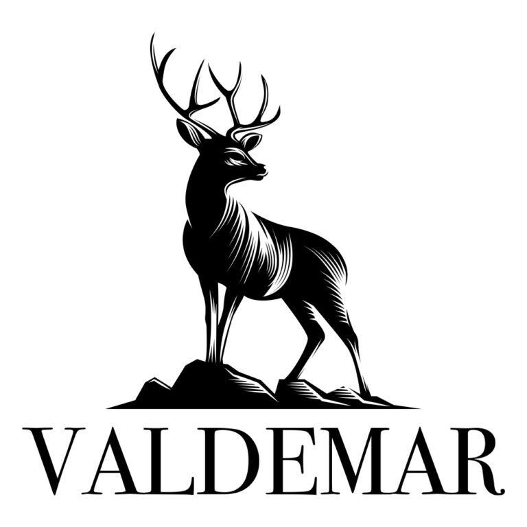 logo-valdemar