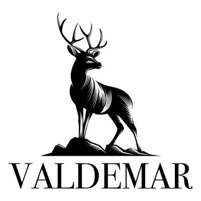 logo-valdemar